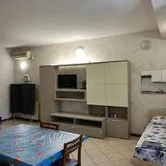 MELA's HOUSE C