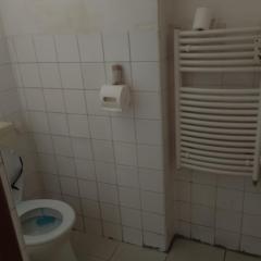 Domek u lesa