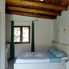 Il Siriaco