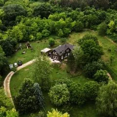 Cosy Forest House
