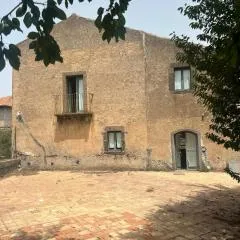 La vigna di Maggi