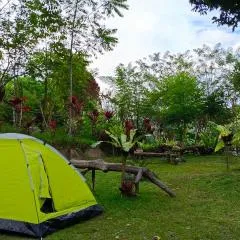 Genius Level Only Camp