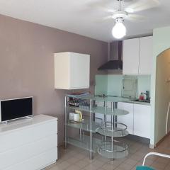 Studio spacieux à Sète avec parking privé, terrasse et cuisine équipée - FR-1-472-198