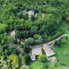 Fattoria la Ginestra, Museo della Civiltà Contadina