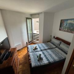 Apartma Tine