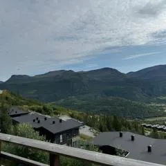 Skarsnuten Panorama 46