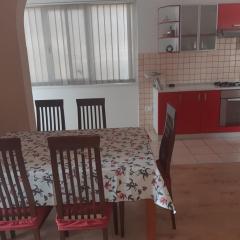 Apartment Luka Palit