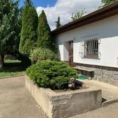 Ubytování ve vinici