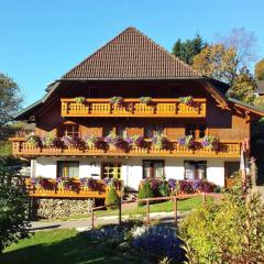 Bühlhof Todtnauberg Wohnung 1