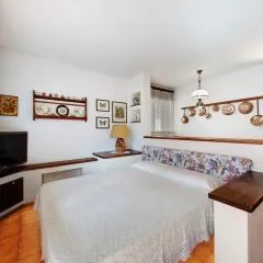 Monolocale Monti Pallidi