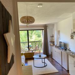 Studio terrasse plein sud avec coin montagne