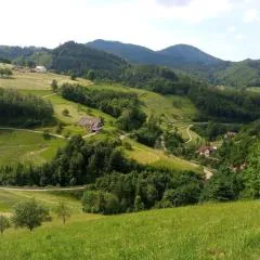 Moosblick