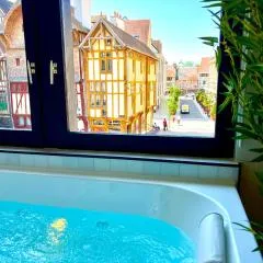 Spa et Sauna Luxueux Hyper centre
