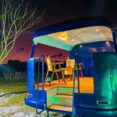 Arteco Camp