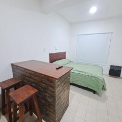 José Ingenieros 1175 - Monoambiente