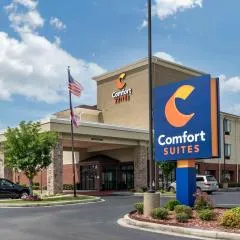 Comfort Suites Pell City near Logan Martin Lake