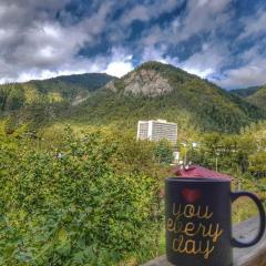 Greenside Borjomi