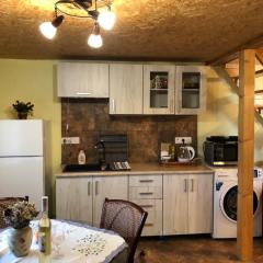 Apartmán Holany
