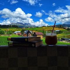 Tsvirmi Zviadi's guesthouse