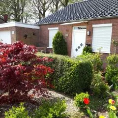 Schwalbennest Ostfriesland