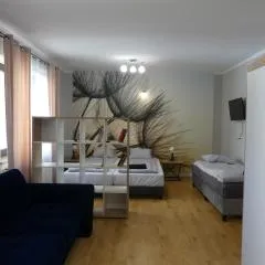 Apartament Centrum