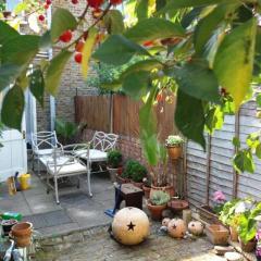 Cosy London double room near Wimbledon