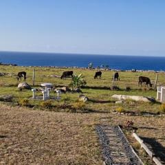 Wild Coast Grosvenor Holiday Home