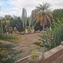 Los Cactus