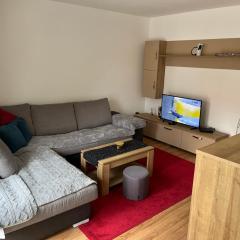 Apartman Plavsic