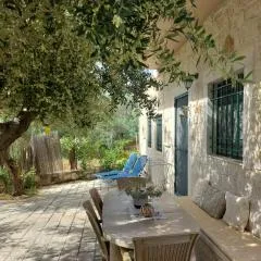 Cottage Meraki