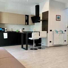 Contemporary Comfort Stylish Modern Apartment