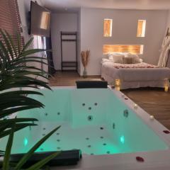 Loft avec jacuzzi illimité et privatif au calme 20 min Paris