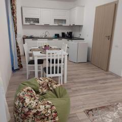 Ayan Panoramic Baile Felix