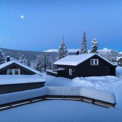 Modern cabin, great view, sunny, 2BA, 4BR