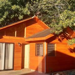 Casa camino Caburgua