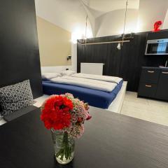 Bratislava Center Apartment 1