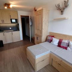 Appartement rénové en pleine montagne avec accès direct aux pistes - FR-1-181-2829