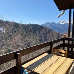 Studio panoramique Notre-Dame-de-Bellecombe - 20 m² - balcon sud