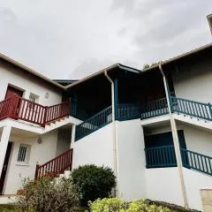 Appartement T2 avec piscine, proche thermes, terrasse, parking, petit animal OK, Cambo-les-Bains - FR-1-495-142
