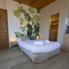 GEWURZTRAMINER - Studio au pied du vignoble - rénové récemment - parking gratuit