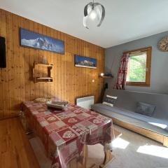 Charmant T2 de 28 m² pour 6 pers. au pied des pistes avec terrasse - Plan Peisey - FR-1-757-100