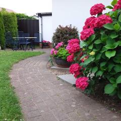 Fewo`s Birkenweg Ostseebad Rerik