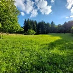 Tree house with private meadow in the middle of the forest