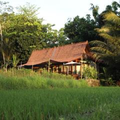 Homestay BanyuAsri Rejosari