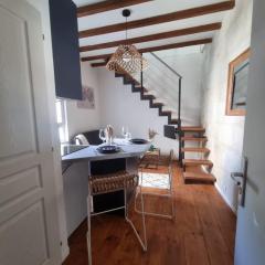 Joli duplex, climatisé, avec local à vélos