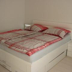ApartmentBuyMetzingen