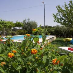 La Cummersa all'ombra dell'Ulivo