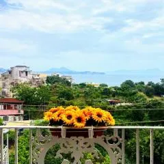 Casa Nina-Bacoli Elegant & View