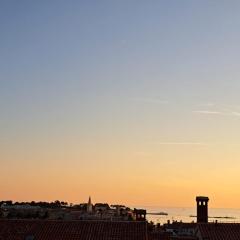 The view