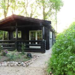 Knusse en gezellige blokhut de Bijenstal